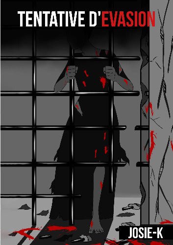 TENTATIVE D&rsquo;EVASION